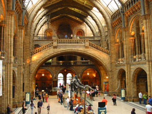 ロンドン自然史博物館(Natural History Museum)